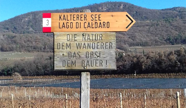 Cartelli Lago di Caldaro