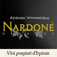 Logo Nardone Nardone