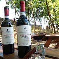 Falerno del Massico Rampaniuci 2011 - Viticoltori Migliozzi