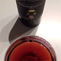 Schiava Castel Sallegg