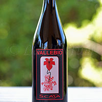Scaja 2016 Vallebio
