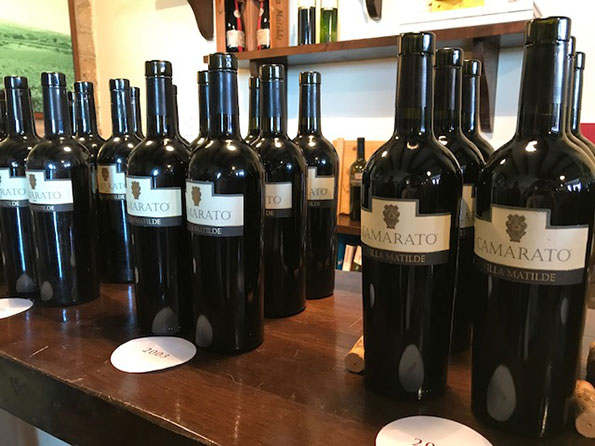 Vini Villa Matilde