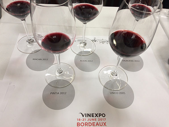 Calici per il tasting