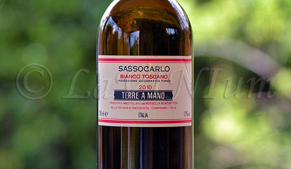 Sassocarlo Terre a Mano 2010 Fattoria di Bacchereto