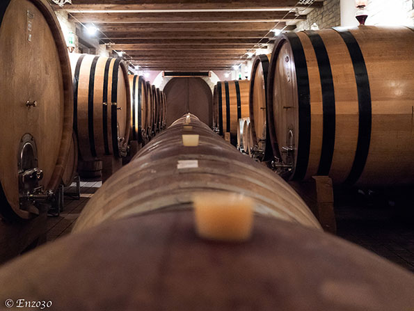Le botti per l'affinamento del Barbaresco