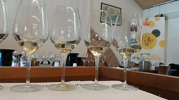 Calici degustazione vini del Collio