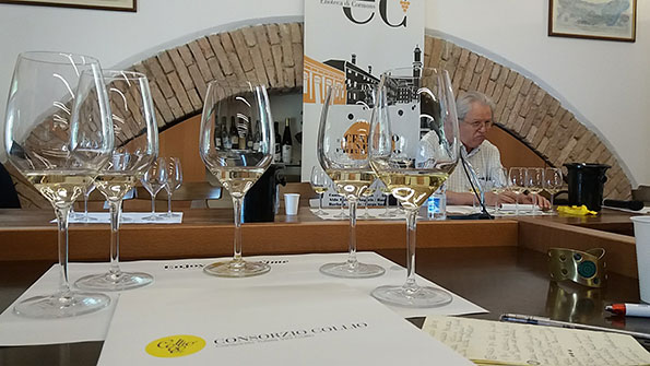 Degustazione vini del Collio