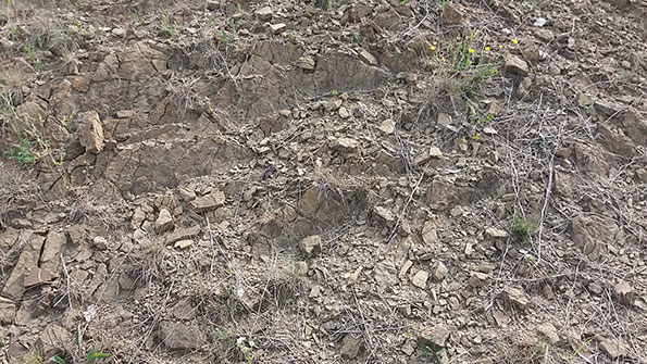 Suolo al Castello di Spessa