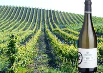 Grillo di Sicilia bio Vigna di Mandranova