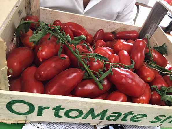 Pomodoro San Marzano