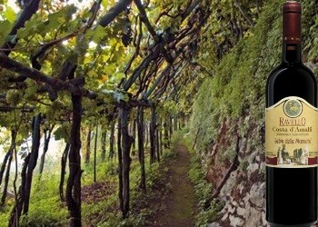 Costa d’Amalfi Ravello rosso Selva delle Monache della Casa Vinicola Ettore Sammarco