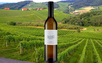 Sauvignon Blanc Ratsch 2013 weingut Kögl