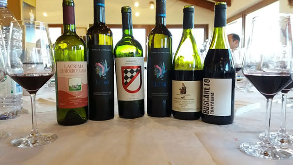 Vini dell'azienda Lucchetti
