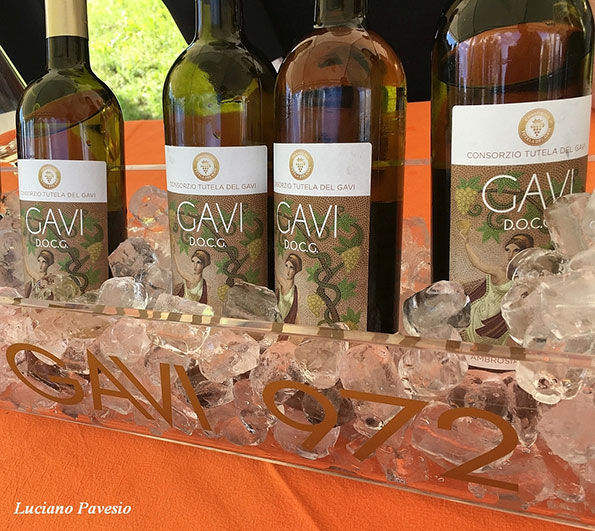 Bottiglie istituzionali di Gavi Docg