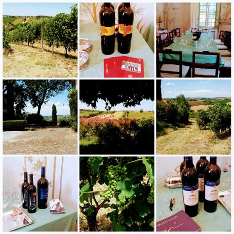 Azienda Marotti Campi