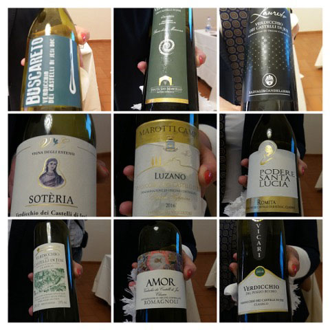 Parte della batteria di Verdicchio degustati