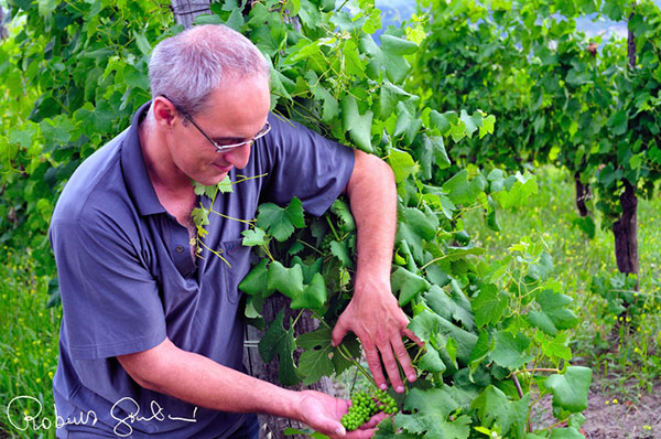 Raffaele Troisi di Vadiaperti