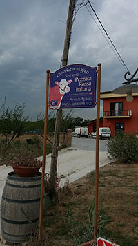 Ingresso al caseificio