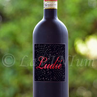 Chianti Rufina Ludié 2011 Fattoria Lavacchio