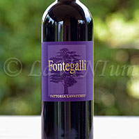Fontegalli 2012 Fattoria Lavacchio