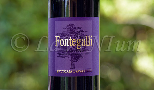 Fontegalli 2012 Fattoria Lavacchio