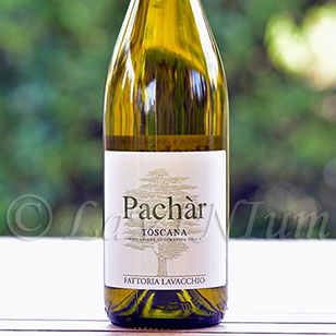 Pachàr 2016 Fattoria Lavacchio