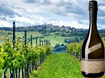 Verdicchio dei Castelli di Jesi Brut Cuvée Tradition Colonnara