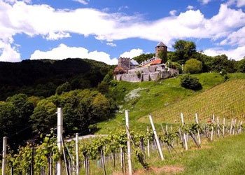 La vigna di Burg Deutschlandsberg