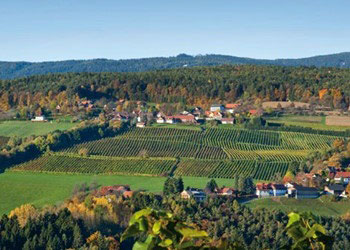 Vigne di St. Stefan ob Stainz