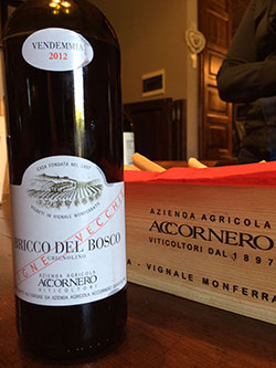 Bricco del Bosco Vecchie Vigne