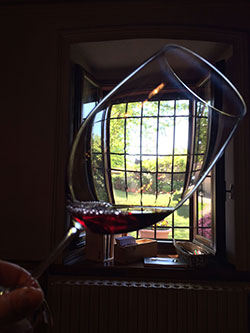 Il Grignolino nel calice