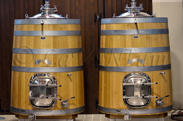 Botti tronco coniche