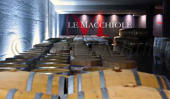 Cantina azienda Le Macchiole