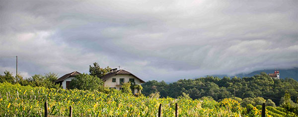 L'azienda Niedermayr