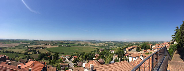 Panorama vigneti da Vignale Monferrato
