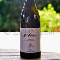 Riviera Ligure di Ponente Pigato Albium 2015 Poggio dei Gorleri