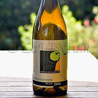 Riviera Ligure di Ponente Pigato Cygnus 2016 Poggio dei Gorleri