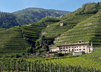 Cascina La Gatta - Triacca