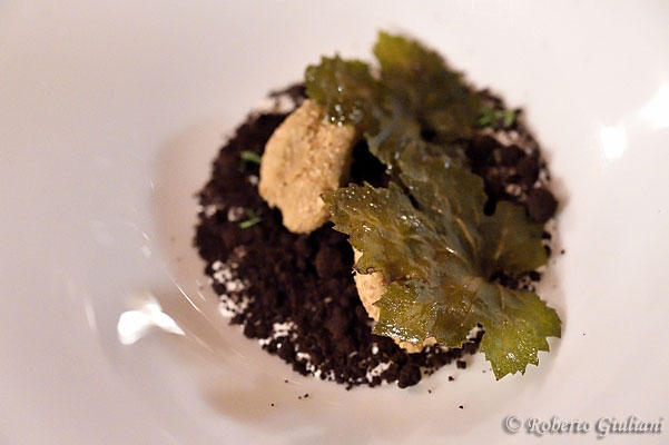 Fungo, cioccolato bianco e nocciole