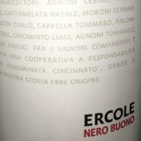 Ercole 2014 - Cincinnato