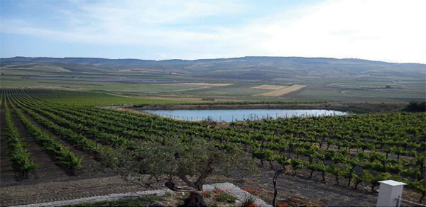 Fondo Gulfa o Cugno del Mulino a S. Margherita di Belice (AG)
