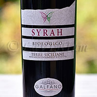 Syrah 2016 Galfano Biagricola