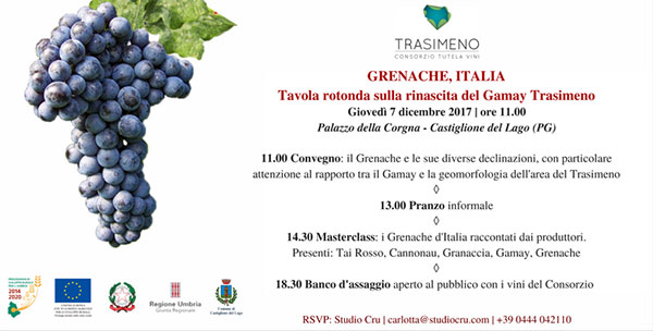 Grenache Italia Castiglion del Lago