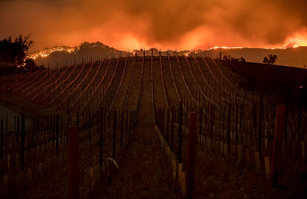 Incendio in Napa Valley
