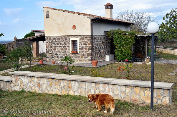 Azienda Muscari Tomajoli