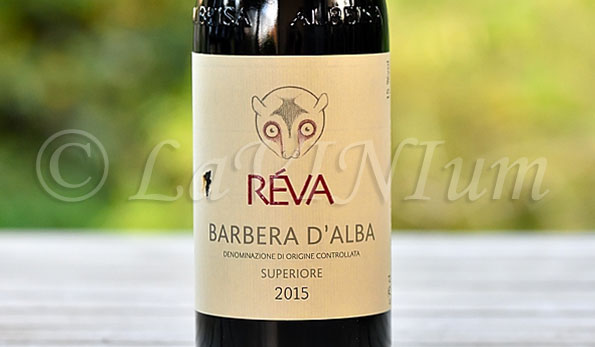 Barbera d'Alba Superiore 2015 Réva