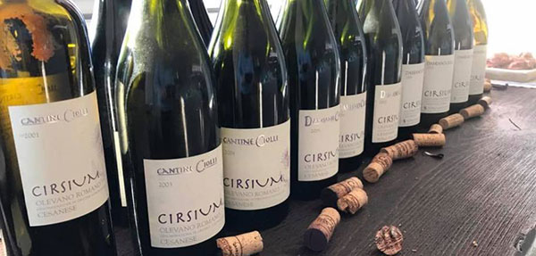 Verticale Cesanese di Olevano Romano Cirsium Damiano Ciolli