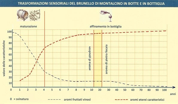 Trasformazioni sensoriali del Brunello di Montalcino in botte e in bottiglia