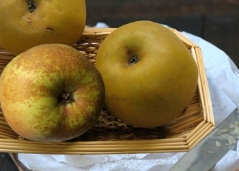Mele per la preparazione dello strudel
