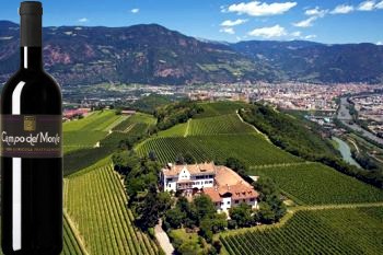 Bonarda Campo del Monte